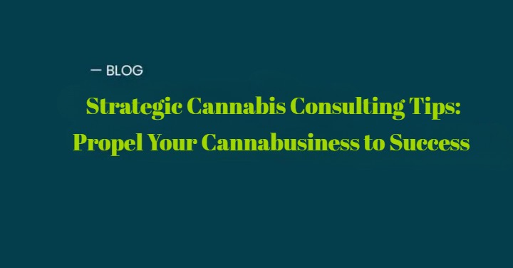 Strategic Cannabis Consulting Tips