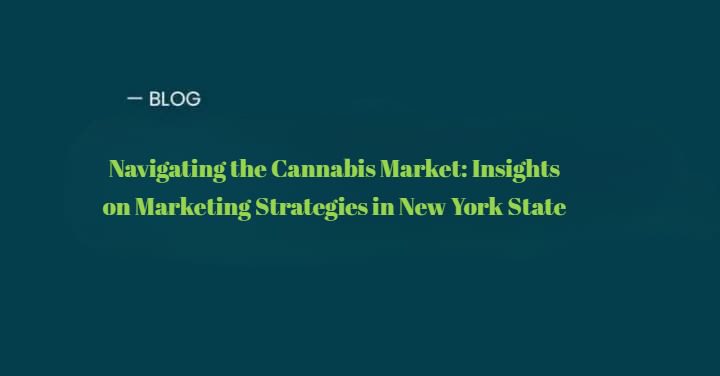 Cannabis Marketing in New York: Strategic Insights & Trends