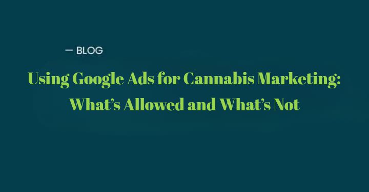 Navigating Google Ads Policies for Cannabis Marketing